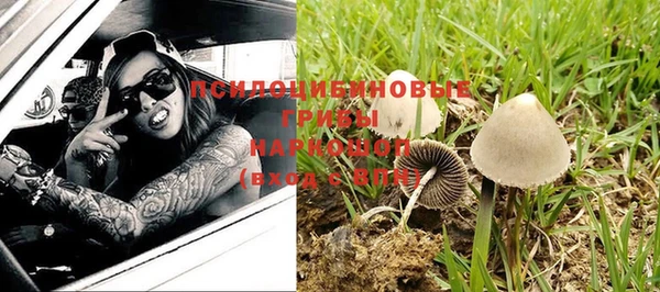 трава Нефтегорск