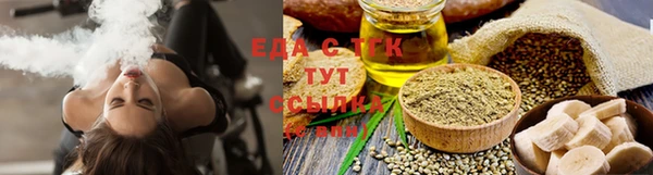 индика Аша