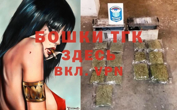 дмт Надым